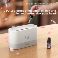 Diffuseur d'arômes de bureau moderne pour la maison et le bureau avec grand humidificateur réaliste à flamme Nouveau design coloré à flamme