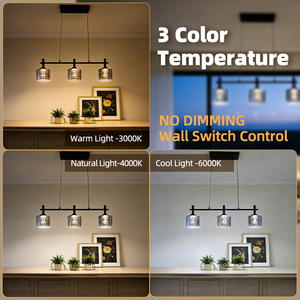 2026 Hot Chandelier& Pendant Light Modern Pendant Lights Black Color Farmhouse Style Living Room Hanging Light - Product Image 3