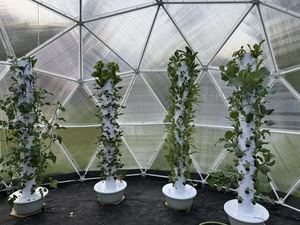 Système de tour hydroponique DIY à 11 étages et 44 trous avec tiges métalliques pour ferme extérieure et jardin de balcon - Product Image 4