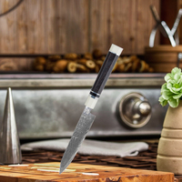 Couteau d'office 3,5 pouces, couteau de chef professionnel classique en acier Damas VG-10, manche en bois d'ébène avec résine