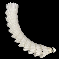Volant de badminton Lingshang LS200, utilisé pour les sports de plein air et l'entraînement en compétition, volant en plumes de canard super durable