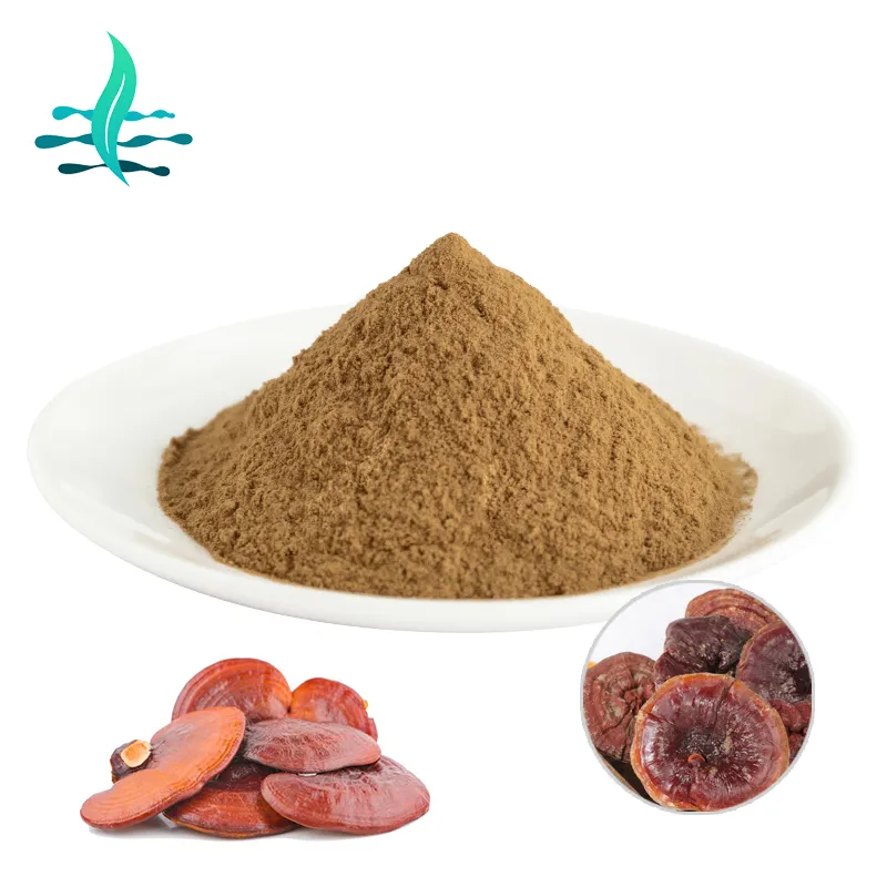 Hoge Kwaliteit Reishi Extract Poeder 10%-50% Reishi Paddestoel Polysaccharide