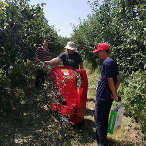 Minicargador de alta resistencia kesen/excavadora/accesorio para <span class=keywords><strong>tractor</strong></span> trituradora forestal desbrozadora trituradora - Product Image 2