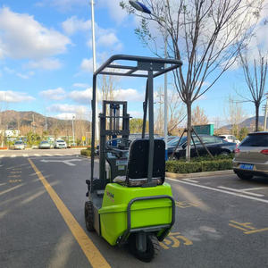 באיכות גבוהה קטן 1t2ton הידראוליים מלגזה מחיר נמוך למכירה - Product Image 4