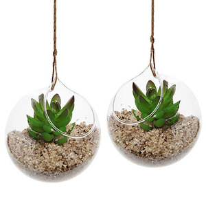 Présentoir en spirale, en fer forgé, support pour <span class=keywords><strong>boule</strong></span> <span class=keywords><strong>de</strong></span> <span class=keywords><strong>verre</strong></span> suspendu, <span class=keywords><strong>plante</strong></span> d'air, Terrarium, sorcellerie - Product Image 3