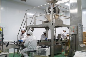 Cane per la cura delle articolazioni dell'anca mastica molli glucosamina MSM infusione, aiuto nutrizionale per la mobilità, sollievo dal dolore, attingere a noi animali domestici olistici - Product Image 5