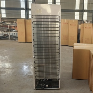 Refrigerador Comercial Vertical con Puerta de Vidrio Individual para Exhibición - Product Image 5