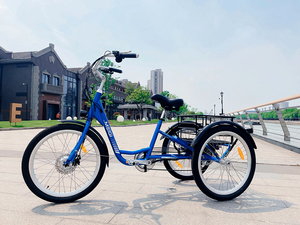Tricycle électrique 24 pouces pour adultes, 350 watts, trois roues ouvertes, 36V, directement depuis l'entrepôt américain - Product Image 2