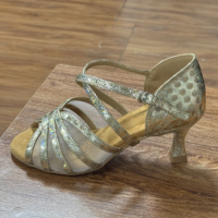 Nouvelles Chaussures de Danse Latine Dorées Brillantes 2026 pour Femmes Adultes, Semelle Souple, Chaussures de Salsa, Vente Directe Usine, Dropshipping Disponible