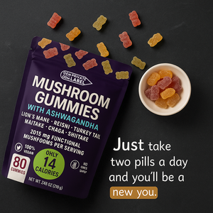 Label pribadi organik jamur nootropik Gummies suplemen penguat otak untuk dewasa penambah energi memori - Product Image 5