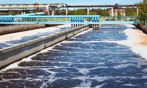 Muối vô cơ độ tinh khiết cao Natri <span class=keywords><strong>tripolyphosphate</strong></span> STPP bột cho chất tẩy rửa công nghiệp và hóa chất xử lý nước - Product Image 2