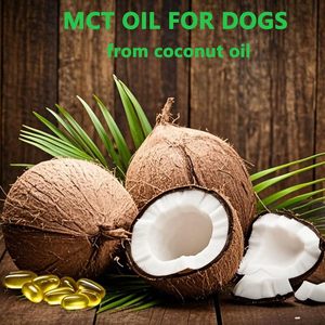 ETRUN ALISA <span class=keywords><strong>Olio</strong></span> MCT Premium Biologico Spremuto a Freddo <span class=keywords><strong>per</strong></span> <span class=keywords><strong>Cani</strong></span>, Trigliceridi a Catena Media C8 C10 60g, <span class=keywords><strong>per</strong></span> una Digestione Sana - Product Image 4