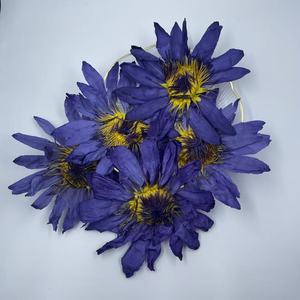 Yeni hasat mavi Lotus çiçek Lan Lian Hua bütün çiçek çay ve dekorasyon için - Product Image 2