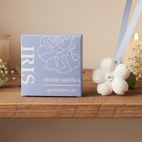 Diffuseur d'huiles essentielles en plâtre parfumé, artisanal, en porcelaine et céramique, à suspendre, pour armoire et maison, vente en gros