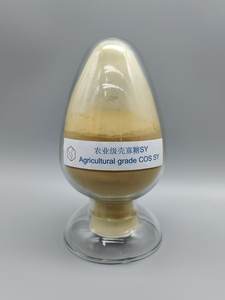 핫 세일 95% 순도 CAS 148411-57-8 농업용 키토산 올리고당 분말 SY - Product Image 2