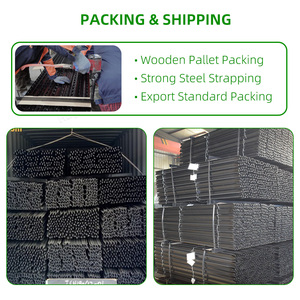 澳大利亚热浸镀锌金属钢y形栅栏柱星标黑色沥青涂层y柱 - Product Image 5