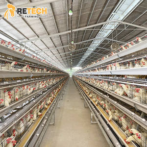 מכירה טובה סוג 3/4 עופות חקלאות עוף חקלאי כלוב עבור הנחת תרנגולות 10000 - Product Image 2