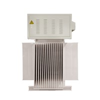 Stabilisateur de tension immergé dans l'huile 3000 KVA, conception triphasée de type huile pour l'alimentation électrique des grands parcs industriels