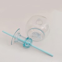 Bouteille de Tequila Mini Personnalisée 375ml – Gobelet en Plastique Incassable au Design Classique, Réutilisable, Anti-Fuite avec Bouchon à Paille – Idéal pour les Fêtes et les Boissons Abondantes