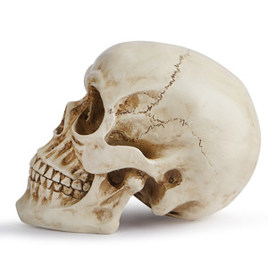 Modelo de calavera de resina para decoración de Halloween, uso en interiores, suministro artesanal de alta calidad - Product Image 2