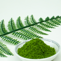 Poudre de menthe naturelle pour boissons et confiseries
