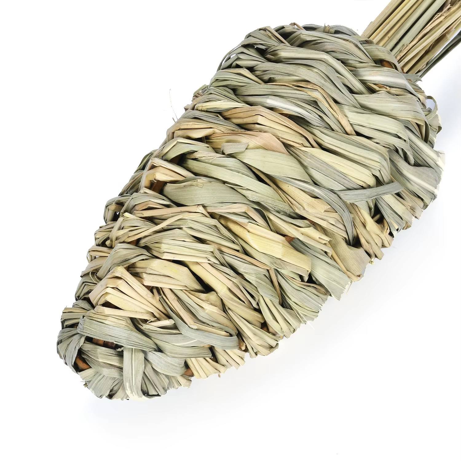 Navet moyen 5.5*16CM