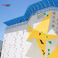 Mur d'escalade, panneaux d'escalade pour l'intérieur et l'extérieur, parcs publics et parcs d'attractions, gymnases éducatifs et de fitness