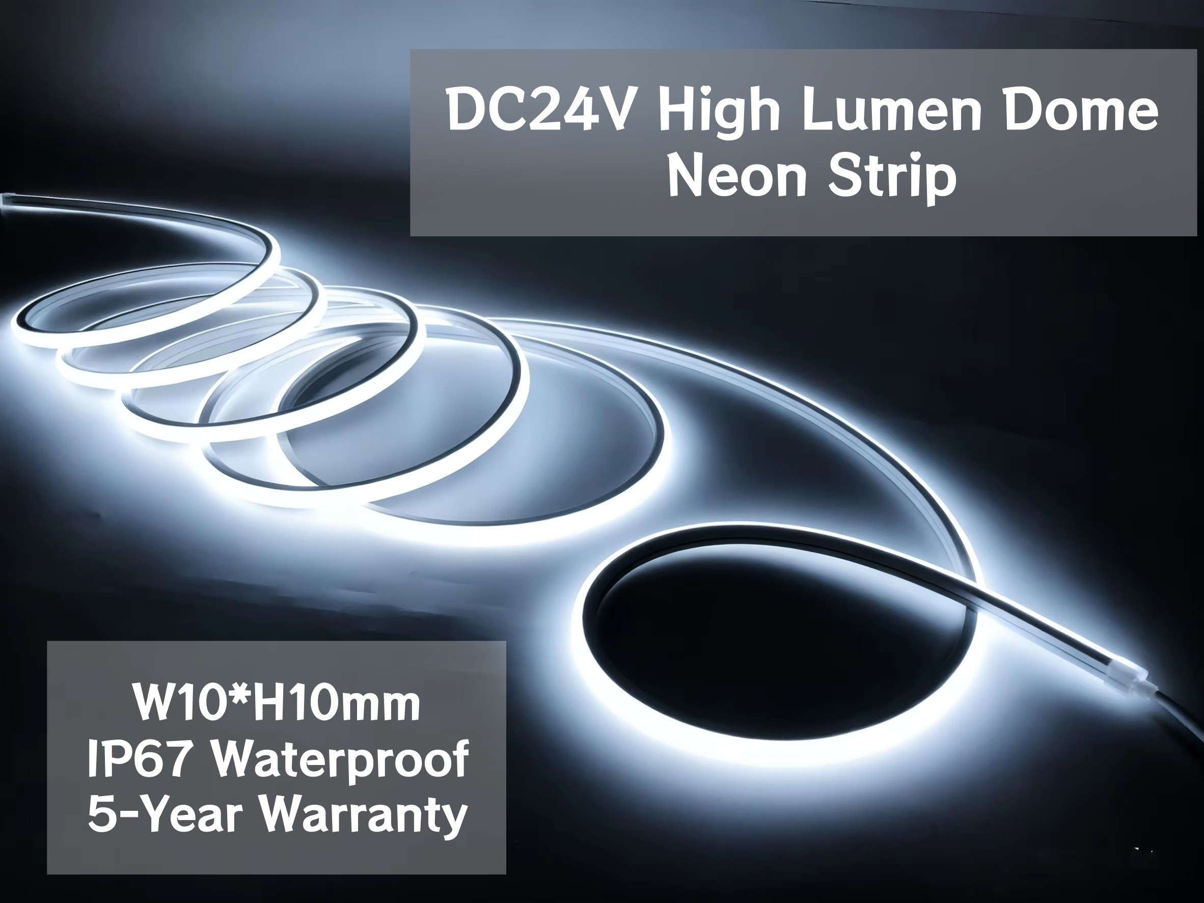 High Lumen Bright IP67 Waterproof Dome Surface 24V 10*10mm Neon Strip Top Bend for Outdoor Indoor Cafe Ceiling Neon Strip Light
