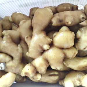 Pemasok Menyediakan Produk Jahe Segar Organik yang Laris Manis - Product Image 5