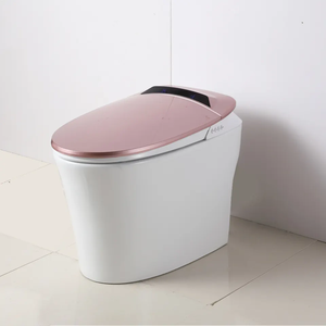 Умная умная ванная комната, Электрический Туалет для биде - Product Image 3