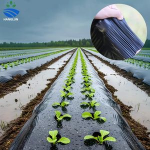 <span class=keywords><strong>Film</strong></span> agricole transparent <span class=keywords><strong>noir</strong></span> personnalisable, <span class=keywords><strong>film</strong></span> de paillage anti-UV, <span class=keywords><strong>film</strong></span> de paillage en <span class=keywords><strong>plastique</strong></span> pour contrôler les herbes, pour ferme, jardin, serre - Product Image 1