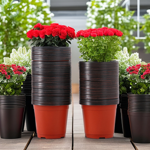 <span class=keywords><strong>Maceta</strong></span> de Plástico de Dos Colores, Gruesa, para Plantas Suculentas y Semillas, de Alta Calidad, en Varios Tamaños - Product Image 5