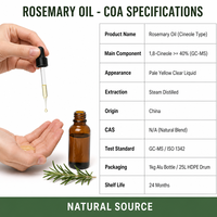 LCHBIO Minyak Rosemary Ekstrak Herbal 100% Murni Ekstraksi Pelarut Cineole 40% GC-MS Kelas Kosmetik Antioksidan Aromaterapi