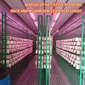 Nấm hệ thống nông nghiệp 20/40ft nấm phát triển container - Product Image 6