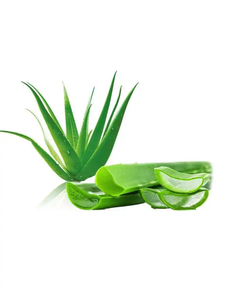 천연 알로에 베라 추출물 건강 보충제 알로에 에모딘 분말 98% 알로에 에모딘 저렴한 가격 - Product Image 6