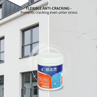 Vente directe d'usine, adhésif invisible, revêtement anti-fuite, colle transparente imperméable, peinture acrylique imperméable