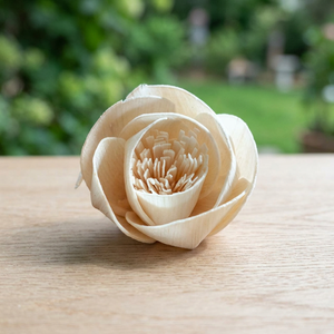 Difusor de Madera Sola Sostenible de 5 cm, Decoración Ecológica para el Hogar con Varillas Secas, Flores Decorativas Blancas Inspiradas en Bodas y Eventos para Interiores - Product Image 3