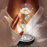 Noël Saint Valentin Cadeau Led Lumière Feuille Galaxy Infinity Rose En Verre Dôme 24k Or Rose Avec Verre Papillon