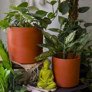 Handcrafted Patina Passion Terracotta Planters <b>Set</b> of 2 for Indoor Outdoor Balcony Terrace Garden Home Décor Rustic <b>Clays</b> - Product Image 3