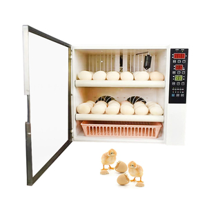Incubateur d'œufs d'autruche entièrement automatique d'une capacité <span class=keywords><strong>de</strong></span> 60 œufs <span class=keywords><strong>de</strong></span> <span class=keywords><strong>poule</strong></span>, incubateur d'œufs <span class=keywords><strong>de</strong></span> <span class=keywords><strong>poule</strong></span> d'<span class=keywords><strong>occasion</strong></span> à vendre - Product Image 5