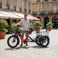 Tricycle électrique Bafang avec deux batteries au lithium de 40 Ah, cadre en acier, type carrosserie ouverte, capteur de couple, modèle Step-Thru