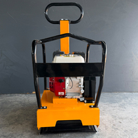 Compacteur à plaque vibrante réversible à essence de type 250 pour la compactation profonde des sols et des bases routières