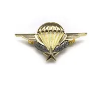 Военный значок, индивидуальные значки в форме крыльев, высококачественный металлический значок с логотипом, ваш собственный стиль