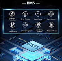 Batería de Litio de 12V 314Ah para Microredes BYOP en Centros de Datos con IA en América del Norte, en Oferta