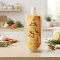 Pochette souple personnalisée avec bec verseur, en PE de qualité alimentaire, pour jus de gingembre et boissons liquides