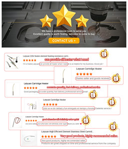 Cartouche chauffante électrique en acier inoxydable Laiyuan haute densité 24V 100W diamètre 8MM - Product Image 6