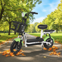 Vélo électrique urbain Little Prince pour adultes, cadre en acier haute teneur en carbone de 14 pouces, moteur à moyeu arrière, batterie au plomb-acide 48V, 2 personnes, 35-45 km d'autonomie