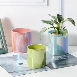 Modern Morandi Vase Ceramic Pearl Color Flower Pots
