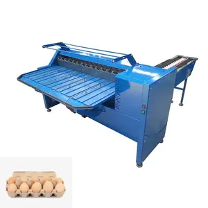 Small Sizer Electric Authomatic Capacity Grade Clean Weight Classifier Grader Egg Sort Weigh Print Machine