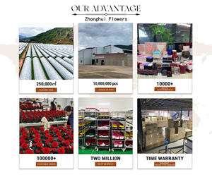 Regalo per San Valentino e Festa della Mamma 2026: <span class=keywords><strong>Fiori</strong></span> Eterni 'Ti Amo', Confezionati in Scatole Floreali in 100 Lingue Diverse - Product Image 6